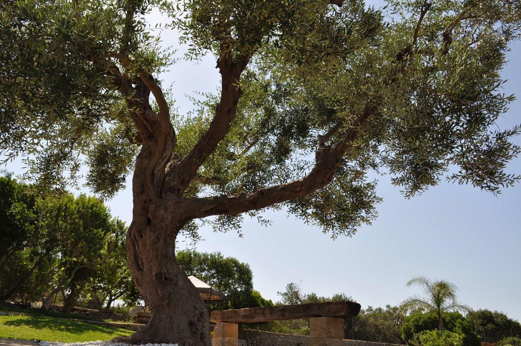 Contrada Borgin Bed and Breakfast Marina Di Pescoluse Buitenkant foto